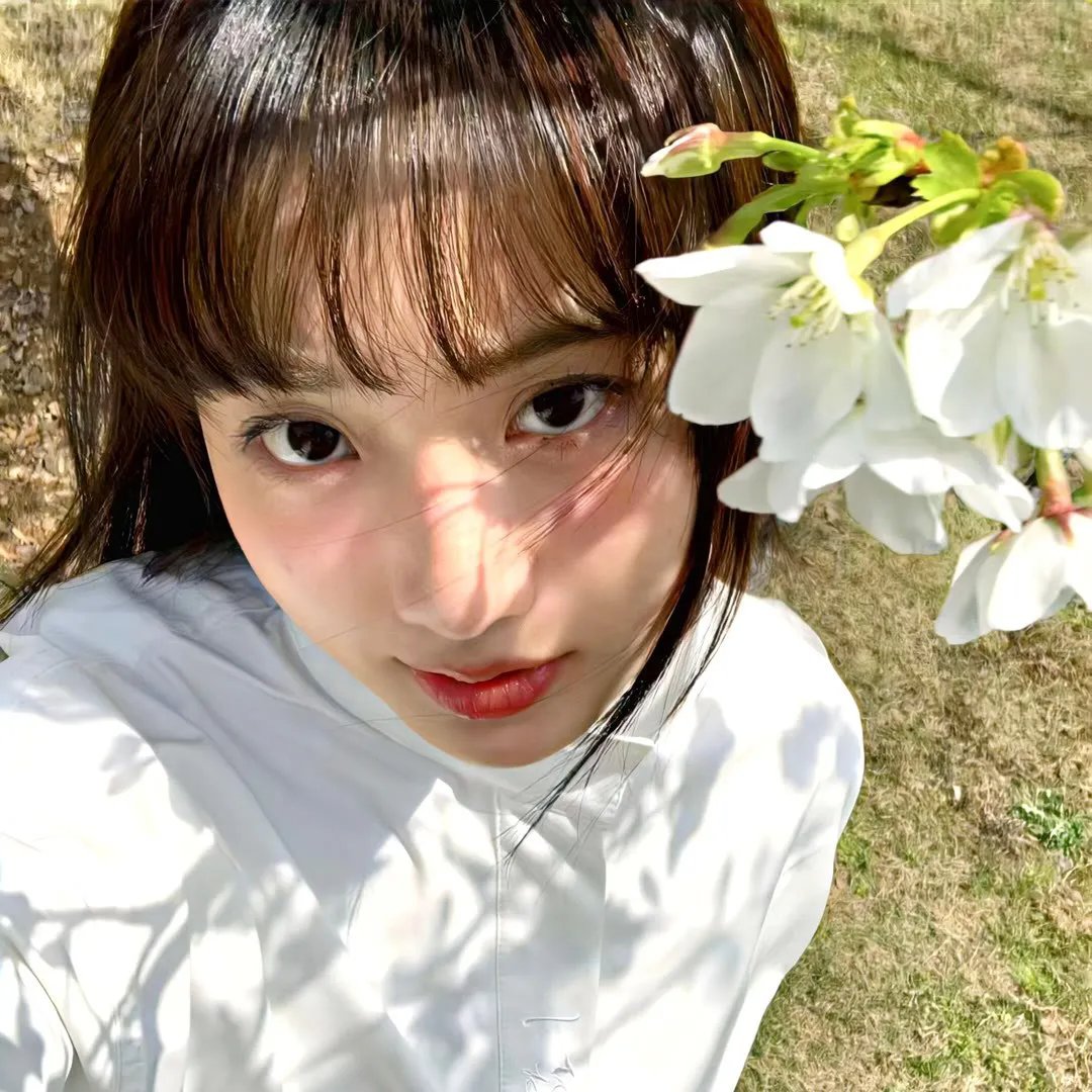 流星蝴蝶剑国语