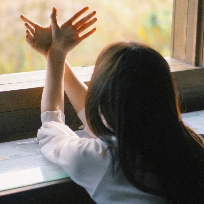 彩象岛的女孩儿